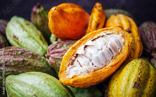 Close-up of ripe yellow cacao pod with Half sliced white cocoa seed ,Cut in half fresh ripe cacao and green raw cacao fruit
