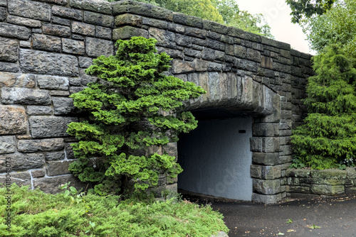 scenic beautiful view of nature in fort tryon park manhattan new york city (nyc public parks with bridges, benches recreation) landscaping (bench bridge overpass) grass vines trees tree hinoki cypress photo