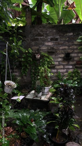 simple garden design behind the house 