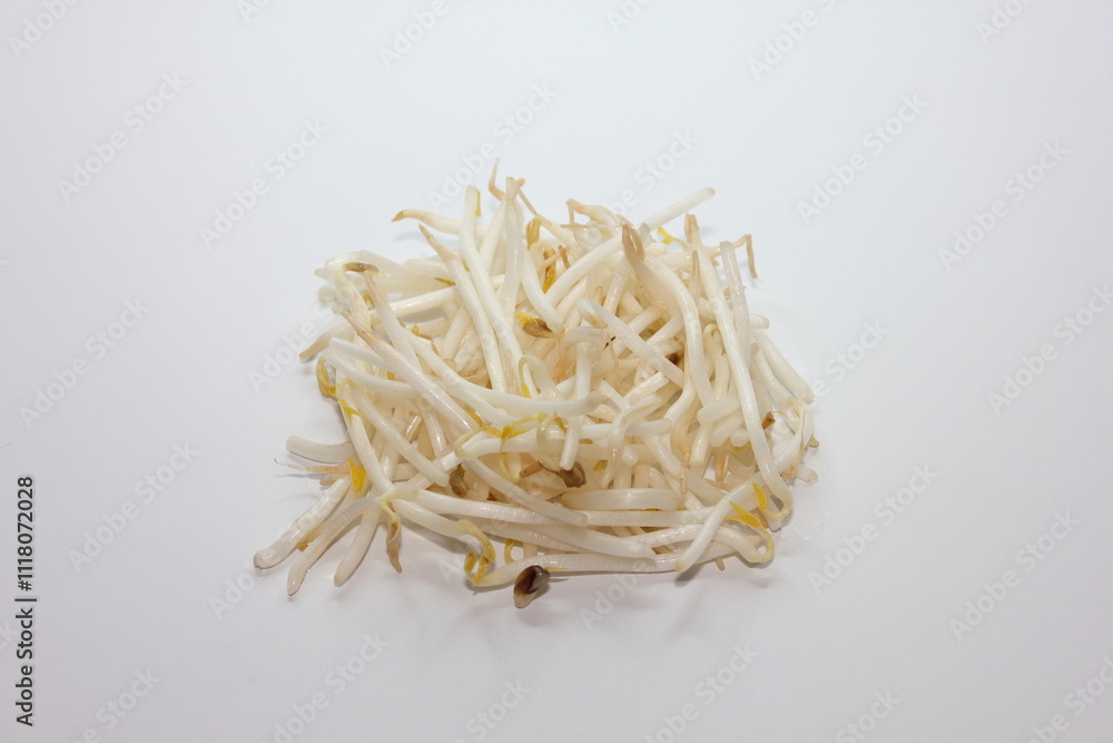 白いもやし: シンプルで美しい 白いもやし: シンプルで美しい
