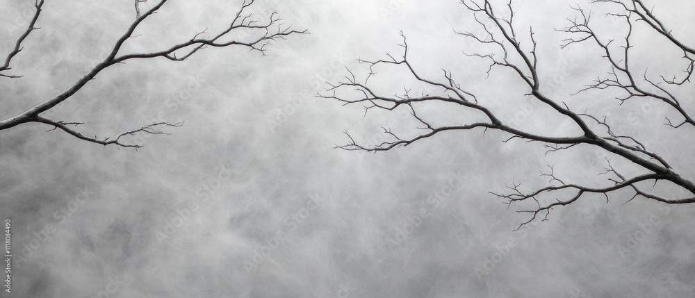 Obraz premium Barren branches against a cloudy sky create a haunting atmosphere.