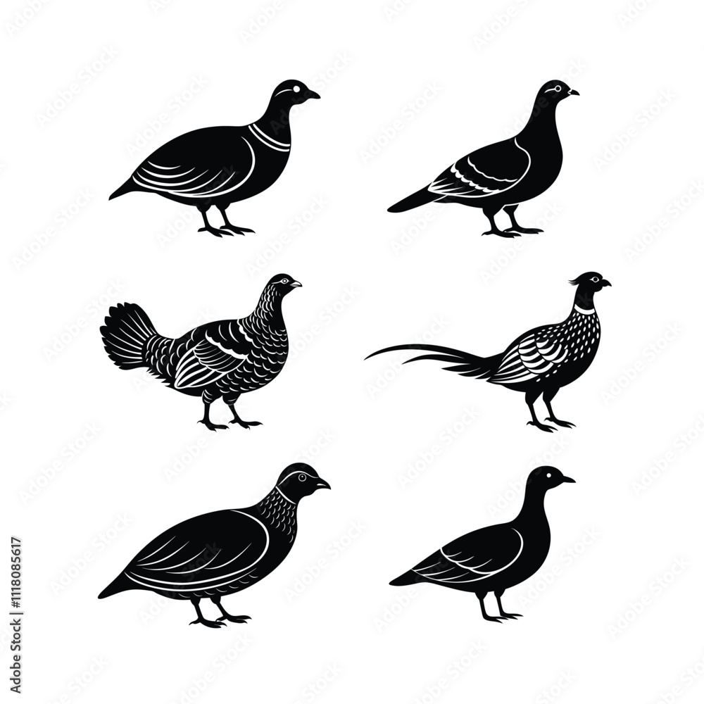 Obraz premium 6 difference birds vector such as Ruffed Grouse,Chukar Partridge,Pheasant etc