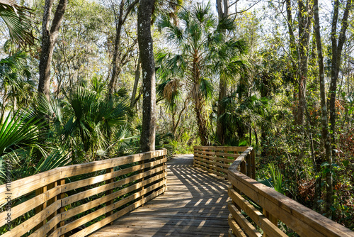 The shadows on the boardwalk bend with the turns as it exits the swamp at Eureka Springs Conservation Park in Tampa, Florida creating an inviting nature walk.