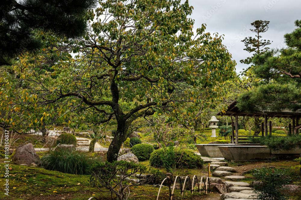 Landscape design in a traditional Japanese park Landscape design in a traditional Japanese park