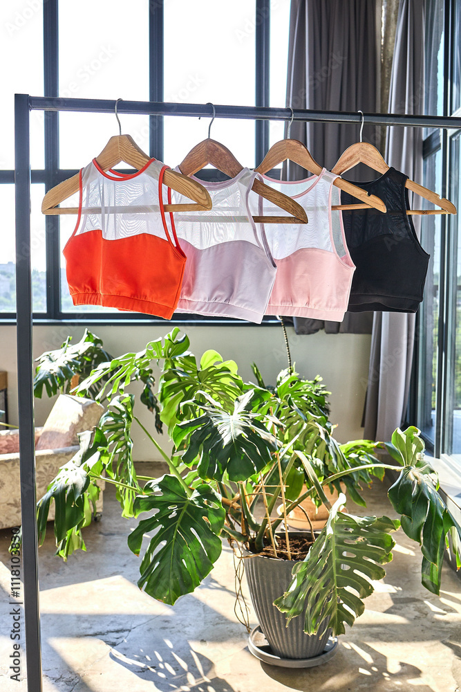 Stylish Sports Bras with Mesh Detail