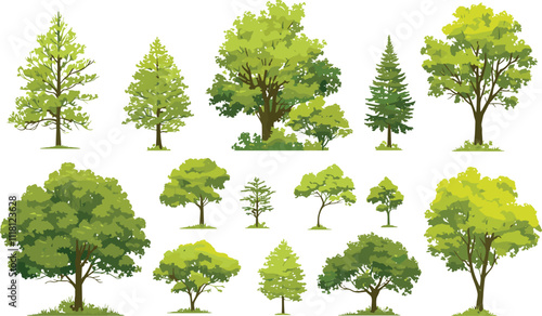 Collection of Green Trees and Bushes - Vector Illustration