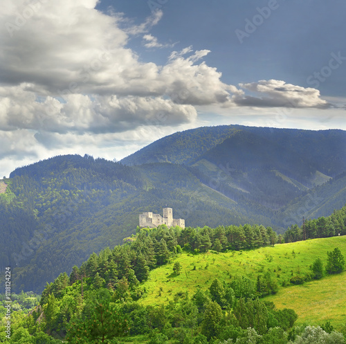 Obraz na płótnie Ruins castle Strecno near Zilina in the Slovakia w salonie