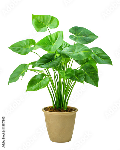 Lush Green Philodendron Plant in Beige Pot