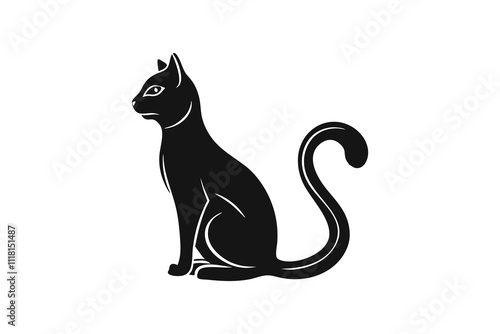 black and white cat