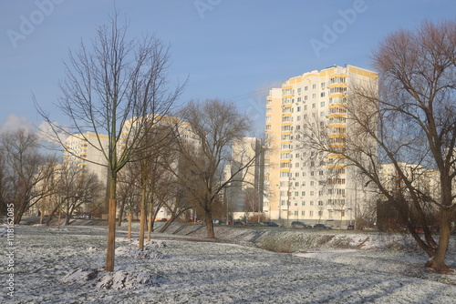 New trees planted in the city park, Yuzhnoye Butovo landscape park, Moscow, December 2024,2 photo