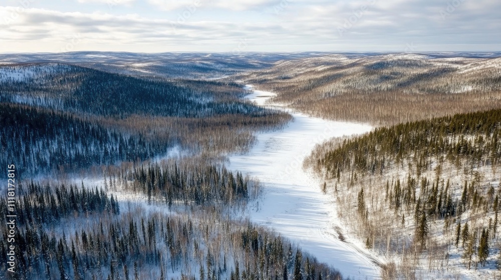 View of lush winter woodland with aerial perspective, Murmansk Oblast, Russia.