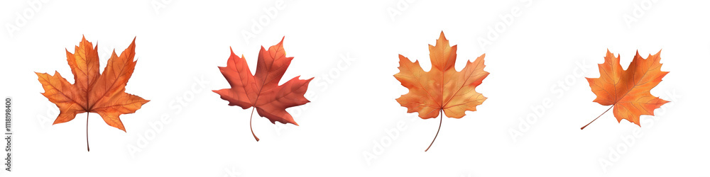 A collection of vibrant orange maple leaves showcasing the beauty of autumn, perfect for seasonal decorations and nature themes. A collection of vibrant orange maple leaves showcasing the beauty of autumn, perfect for seasonal decorations and nature themes.
