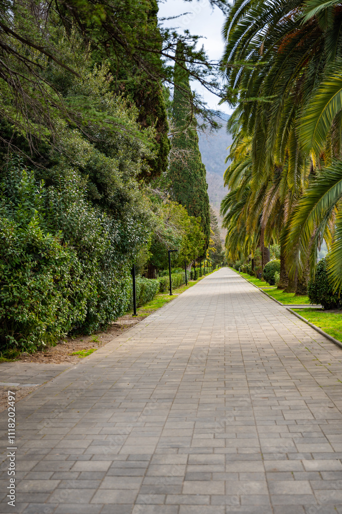 A park with a path lined with trees and benches A park with a path lined with trees and benches