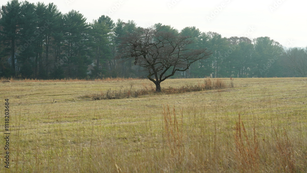 Fototapeta premium The valley Forge view with the meadows and woods in the USA 