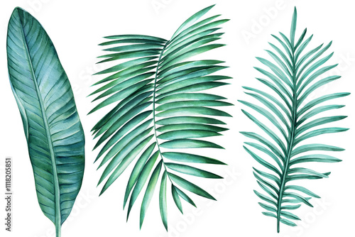 watercolor tropical palm leaves illustration white background, hand-painted exotic foliage, vibrant greenery for design photo