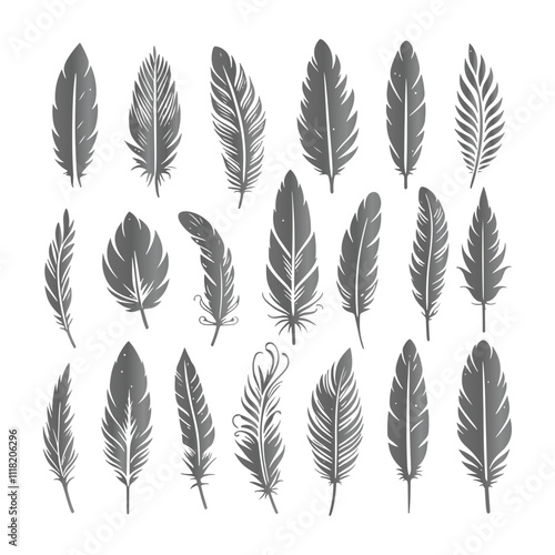 Create a shilhoutte feather vector design with white background