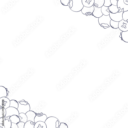 Berries square graphic line frame. Vector Banner of blueberries. Hand painted horizontal border for greeting card with space for text.