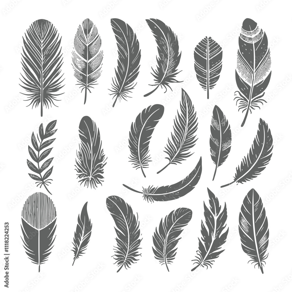 A shilhoutte feather vector design with white background A shilhoutte feather vector design with white background