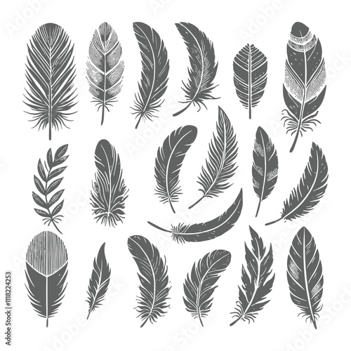 A shilhoutte feather vector design with white background