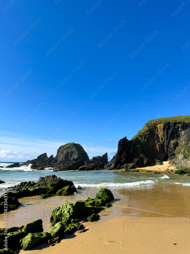 Beachside tree walkway. Beach in the ocean Beachside tree walkway. Beach in the ocean