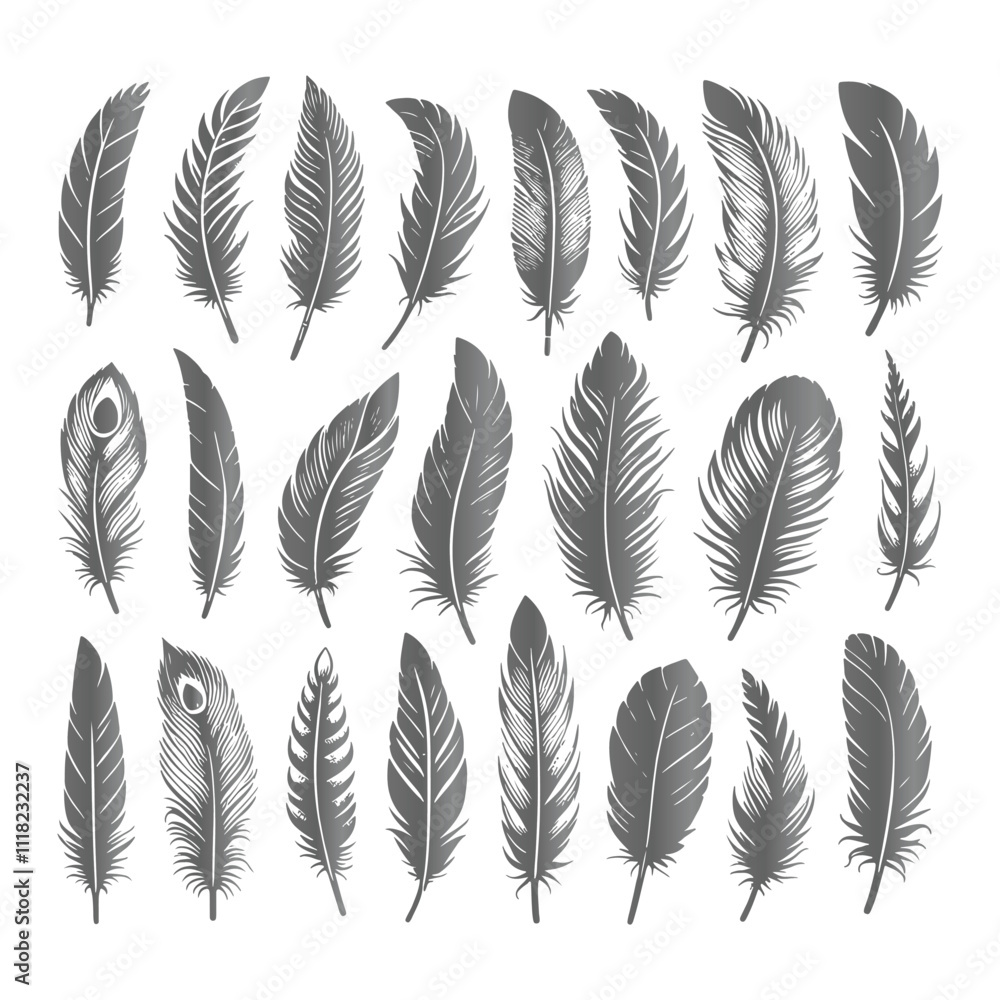 A shilhoutte feather vector design with white background A shilhoutte feather vector design with white background