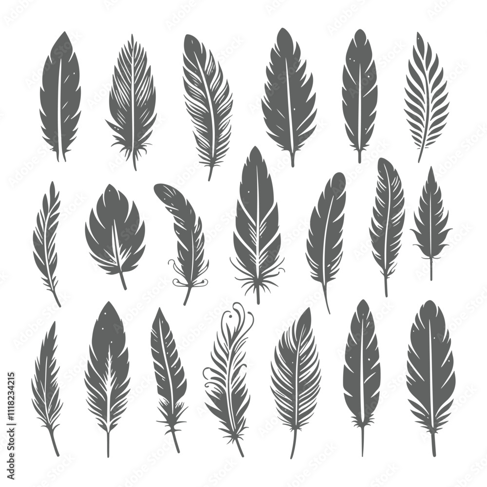 Obraz premium A shilhoutte feather vector design with white background