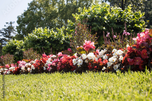 Flowerbed.
Flowers in a flower bed near lake. Bellagio Como Lake