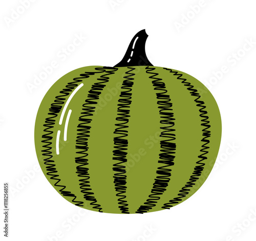 Hand drawn pumpkin. Green pumpkin sketch. Autumn and fall season vegetable. Healthy eating and proper diet, nutrition. Flat vector illustration