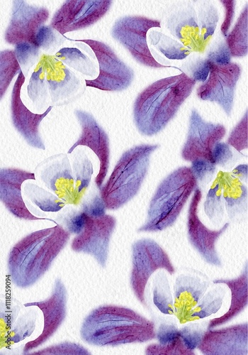 Flowers white and purple background, watercolor flowers photo