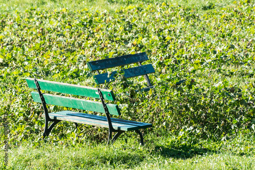 panchine nel parco