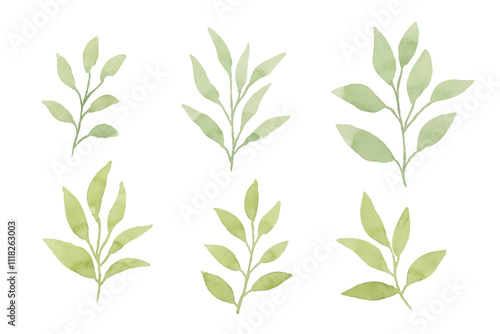 Assortment of watercolor leaves illustration set - green leaf branches collection for wedding, greetings, stationary, wallpapers, fashion, background. olive, green leaves, Eucalyptus etc	