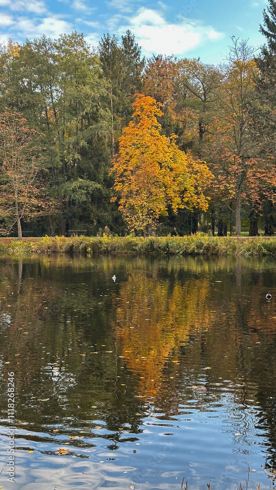 Various photos taken in the autumn season from the capital of Poland, Warsaw Various photos taken in the autumn season from the capital of Poland, Warsaw
