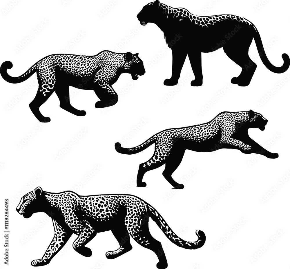Fototapeta premium Beautiful leopard Silhouette animal illustration on a white background