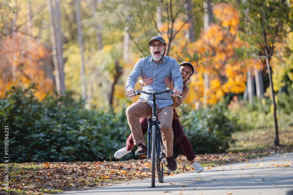 Smiling senior couple riding a bike in a sunny autumn park, wearing protective helmets. The man pedals while the woman enjoys the ride sitting on the rear rack Smiling senior couple riding a bike in a sunny autumn park, wearing protective helmets. The man pedals while the woman enjoys the ride sitting on the rear rack