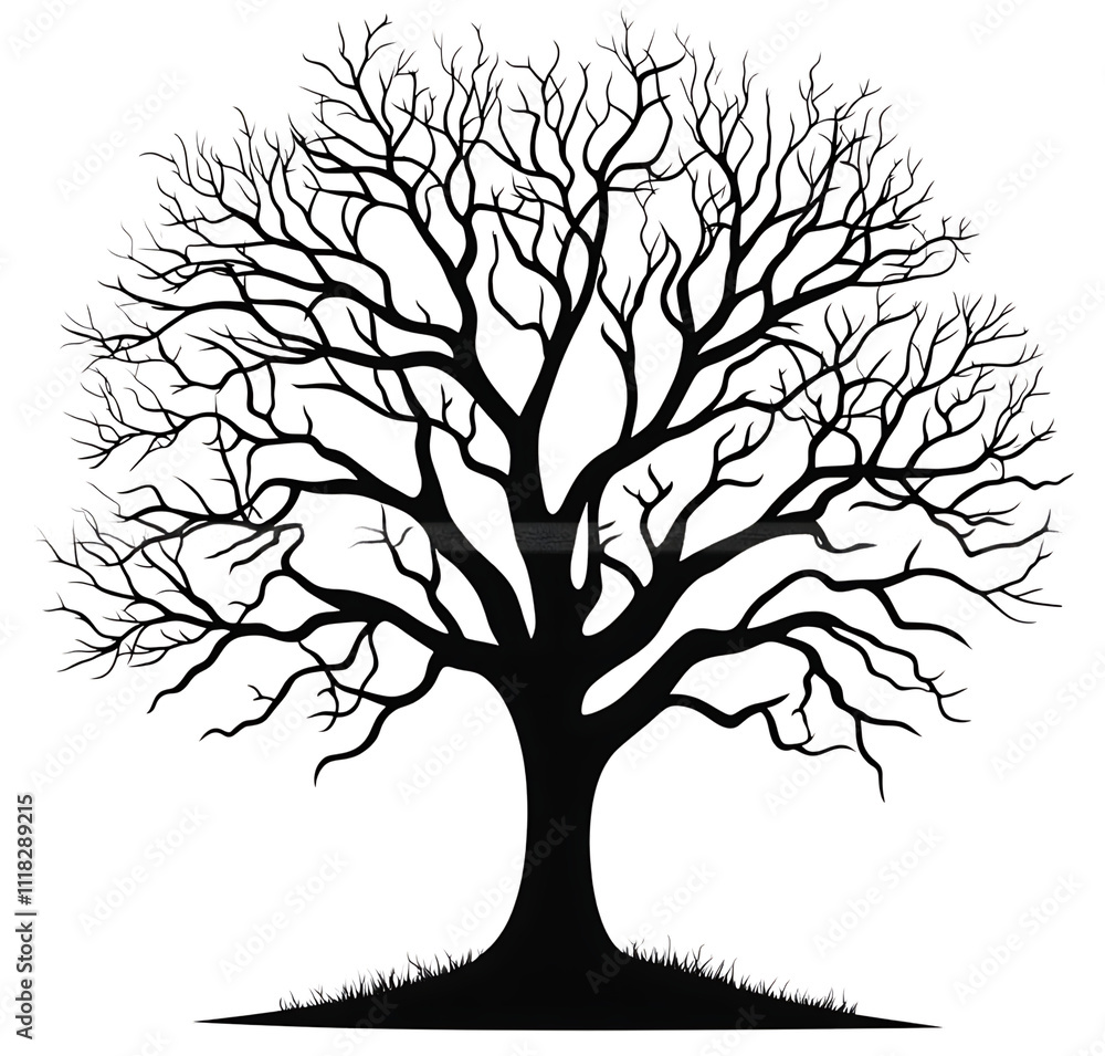 Obraz premium Majestic oak tree silhouette, nature, strength, growth