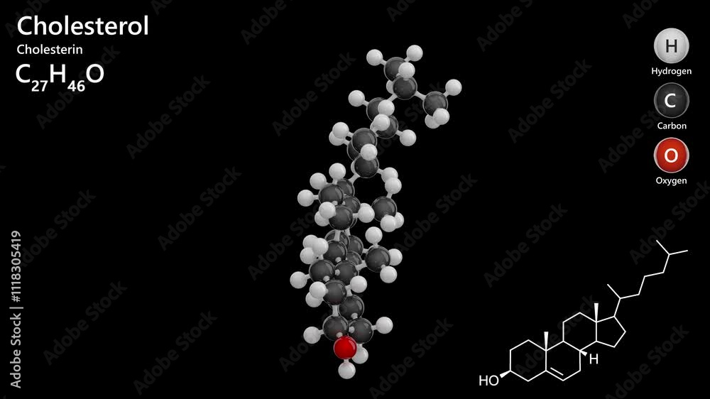 Cholesterol Or Cholesterin Steroid Animated 3D Model Of A Molecule 