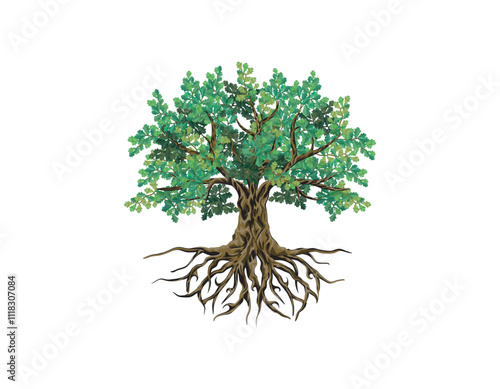 oak tree hand drawing