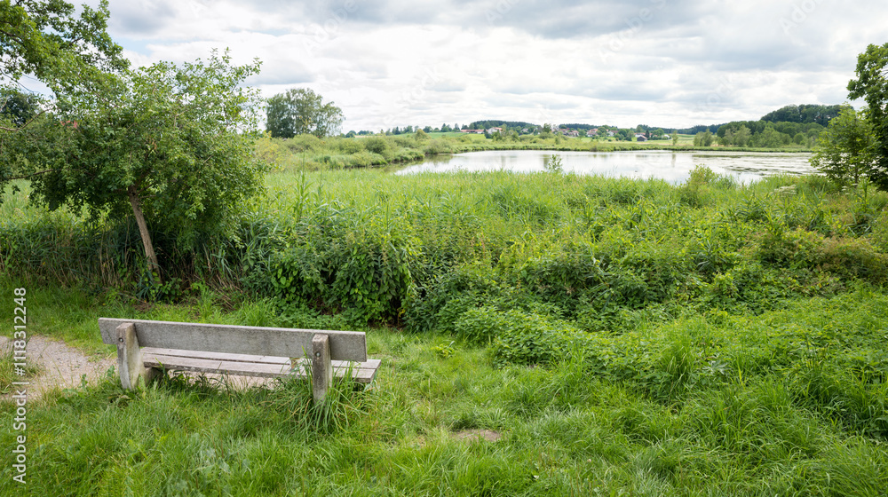 wooden bench at lake shore Egglburger See, protected area for birds wooden bench at lake shore Egglburger See, protected area for birds