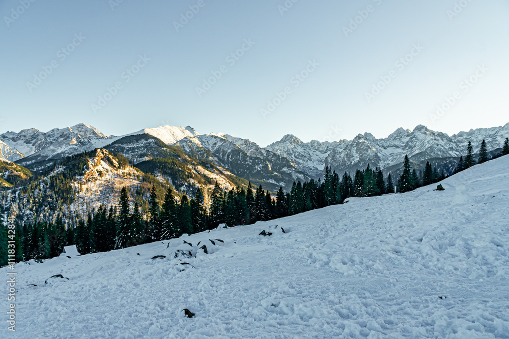 Góry zimą, Tatry w Polsce zasypane śniegiem podczas pięknej bezchmurnej pogody.