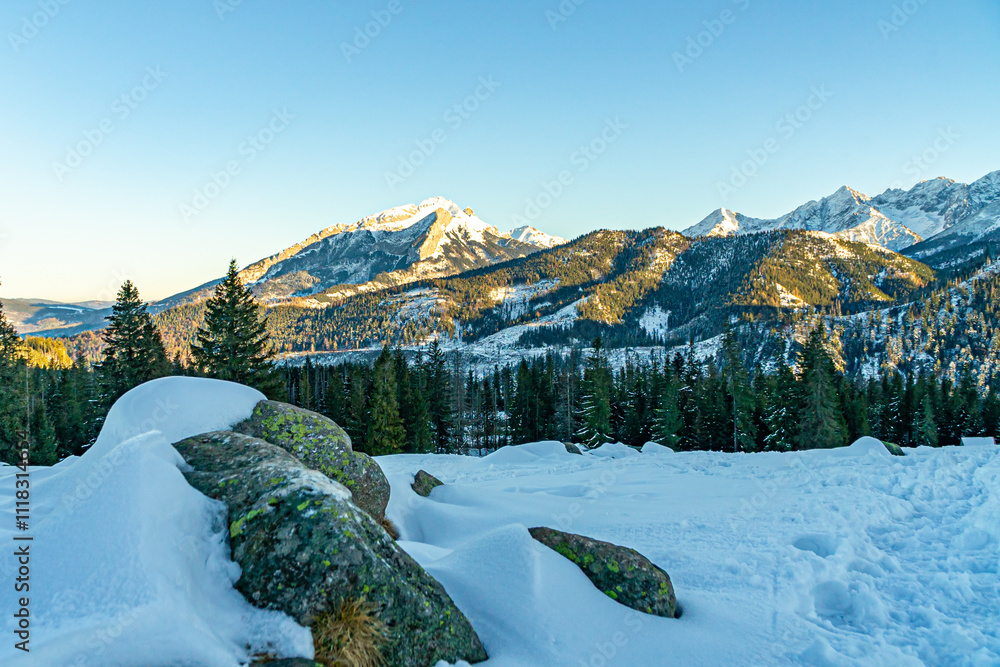 Góry zimą, Tatry w Polsce zasypane śniegiem podczas pięknej bezchmurnej pogody.