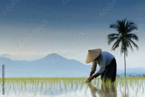 rice farming, an asian farmer nurtures rice plants among palm trees under a clear blue sky in the countryside photo