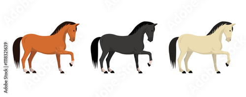 Set of horses in different coat colors isolated on white background. Vector stock