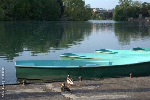 bateau sur l'eau