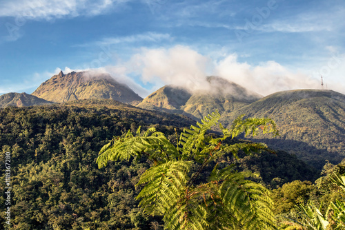 La Soufrière volcan en Guadeloupe Antilles Française