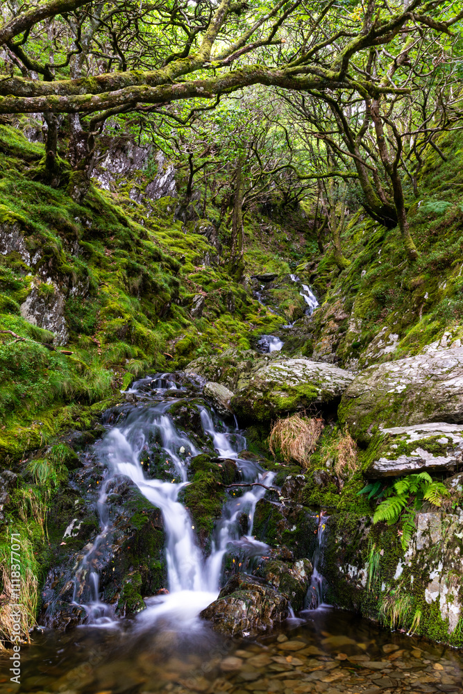 Waterfall in woodland