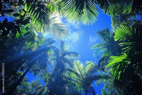 A vibrant view of palm trees reaching towards a bright blue sky with soft clouds.