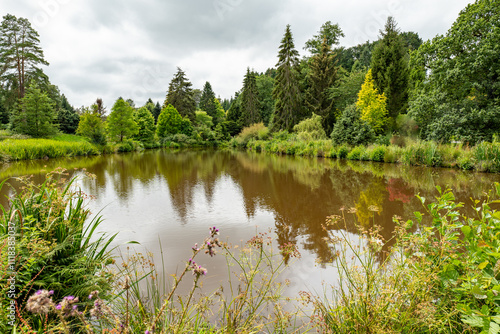 Bedgebury National Pineatum and Forest photo