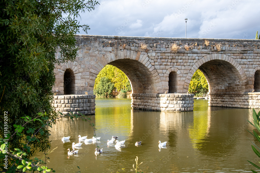 Roman Bridge with Stone Arches, Ducks Swimming on Calm River Surrounded by Trees Roman Bridge with Stone Arches, Ducks Swimming on Calm River Surrounded by Trees