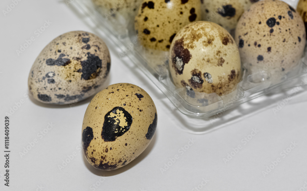 animal foods. quail eggs photos. animal foods. quail eggs photos.