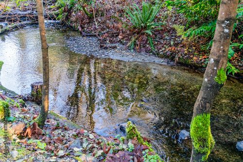 Des Moines Creek Reflecton 2